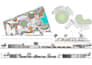 design architectural 2d floor plans, elevations, sections